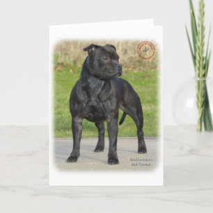 Tarjeta Staffordshire Bull Terrier