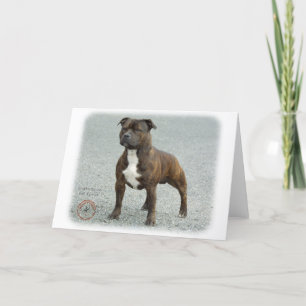 Tarjeta Staffordshire Bull Terrier