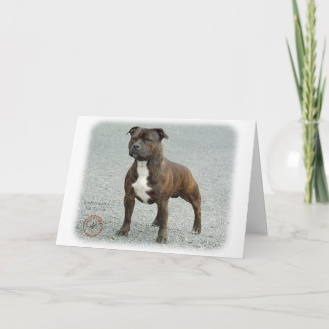 Tarjeta Staffordshire Bull Terrier (Anverso)
