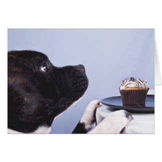 Tarjeta Staffordshire Bull Terrier y Cake