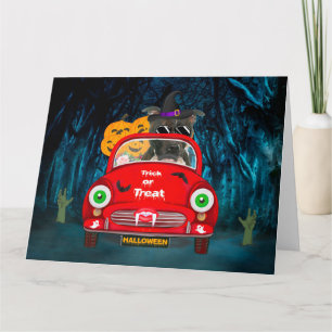 Tarjeta Staffordshire Perro Conduciendo Coche Espeluznante