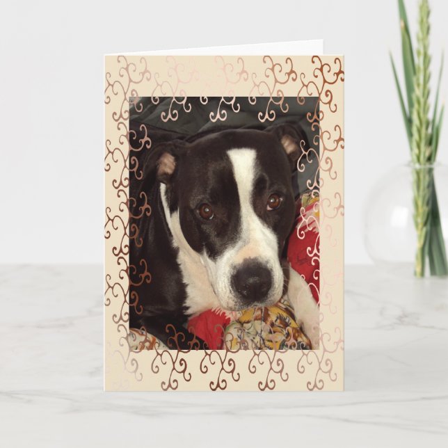 Tarjeta Staffordshire Terrier Blank (Anverso)