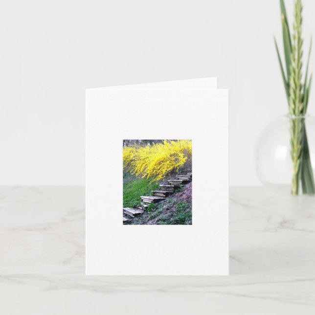 Tarjeta Stairway Notecard (Anverso)