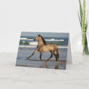 Tarjeta Stallion andaluz de Bob Langrish Corriendo En La P
