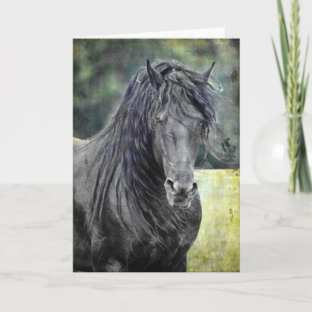 Tarjeta Stallion friesiano (Anverso)