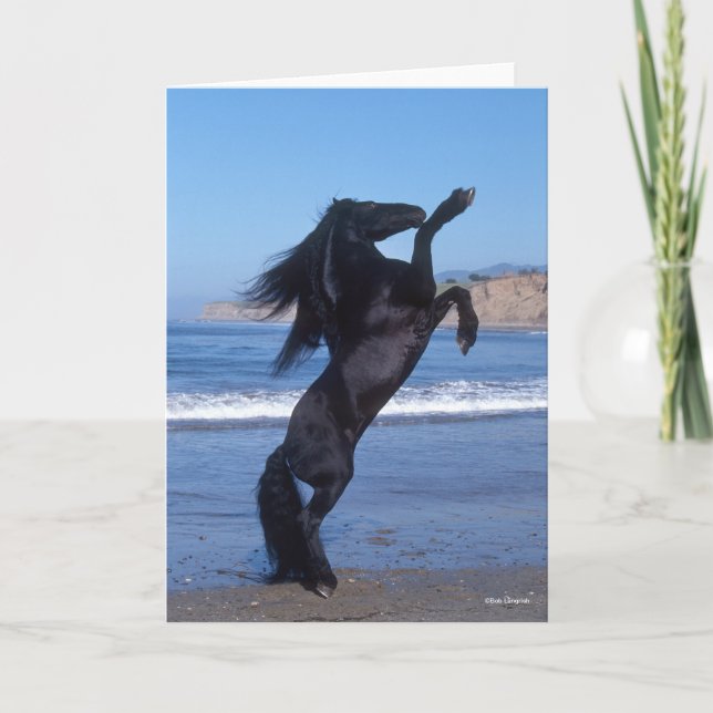 Tarjeta Stallion friesiano negro criando en la playa (Anverso)