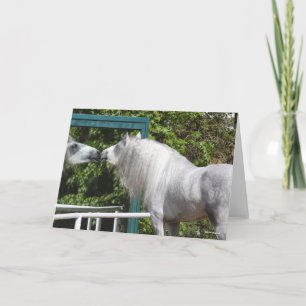 Tarjeta Stallion Gris Andaluz Mirando Espejo