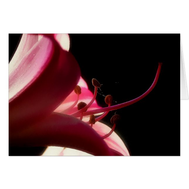 Tarjeta Stamen de flores (Anverso (Horizontal))