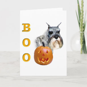 Tarjeta Standard Schnauzer Boo