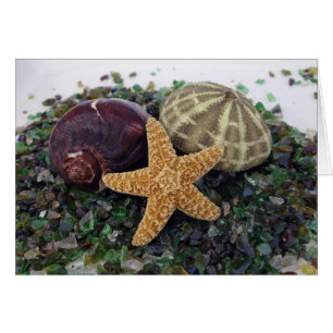Tarjeta Star Fish, Shell y Urchin