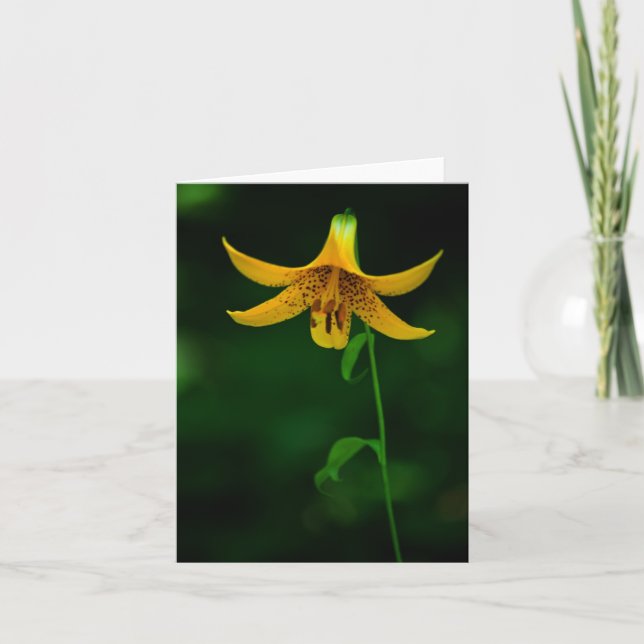 Tarjeta Star Pose (Anverso)