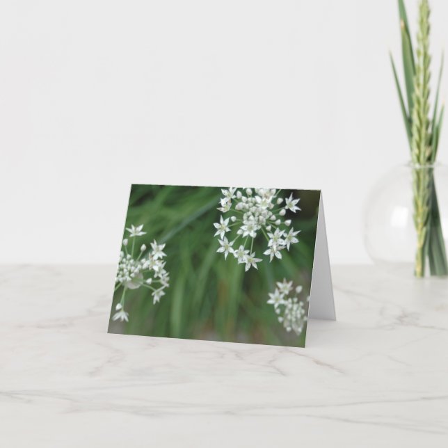 Tarjeta Starburst (Anverso)