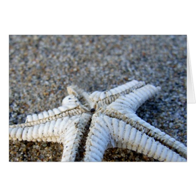 Tarjeta Starfish (Anverso (Horizontal))
