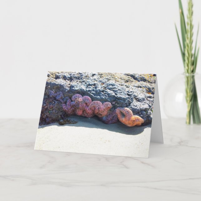 Tarjeta Starfish colorido en Bob Creek, OR (Anverso)