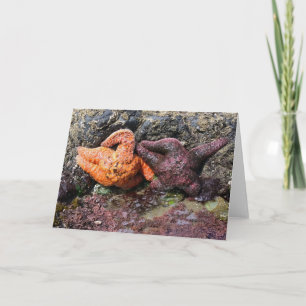 Tarjeta Starfish en Bob Creek, OR