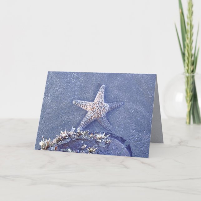 Tarjeta Starfish Semi Immersed (Anverso)