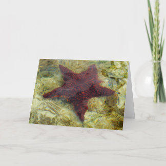 Tarjeta Starfish submarino en Bahamas