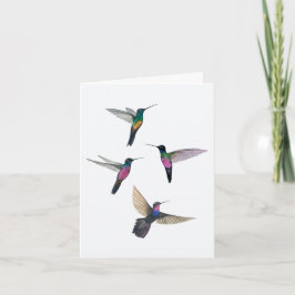 Tarjeta Starfrontlet Hummingbirds