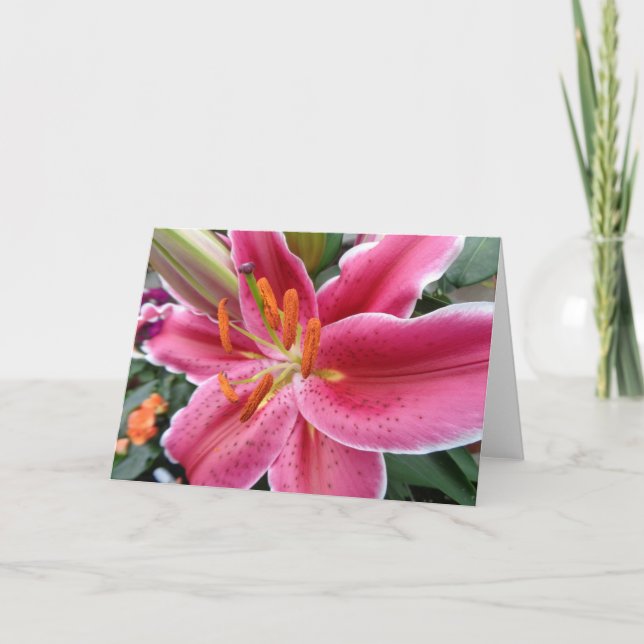 Tarjeta Stargazer (Anverso)