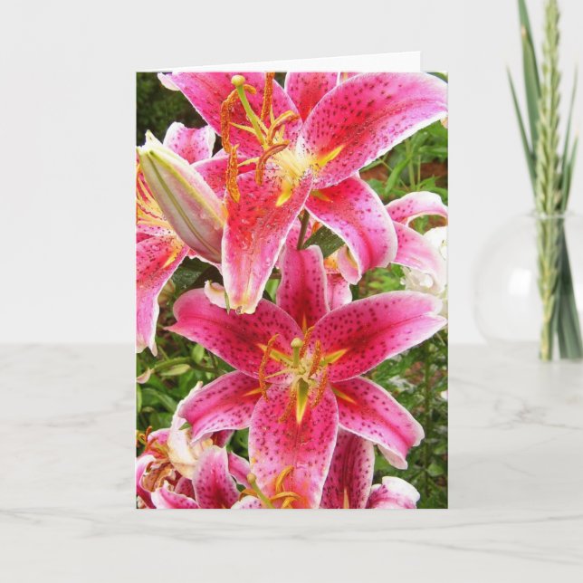 Tarjeta Stargazer Bouquet (Anverso)