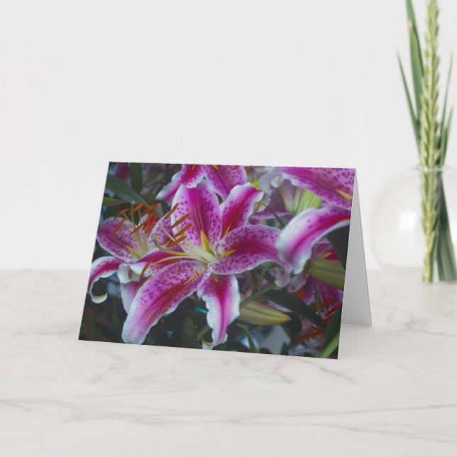 Tarjeta Stargazer Lilies Pink & Magenta (Anverso)