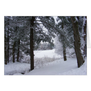 Tarjeta Sticky Snow 132 ~