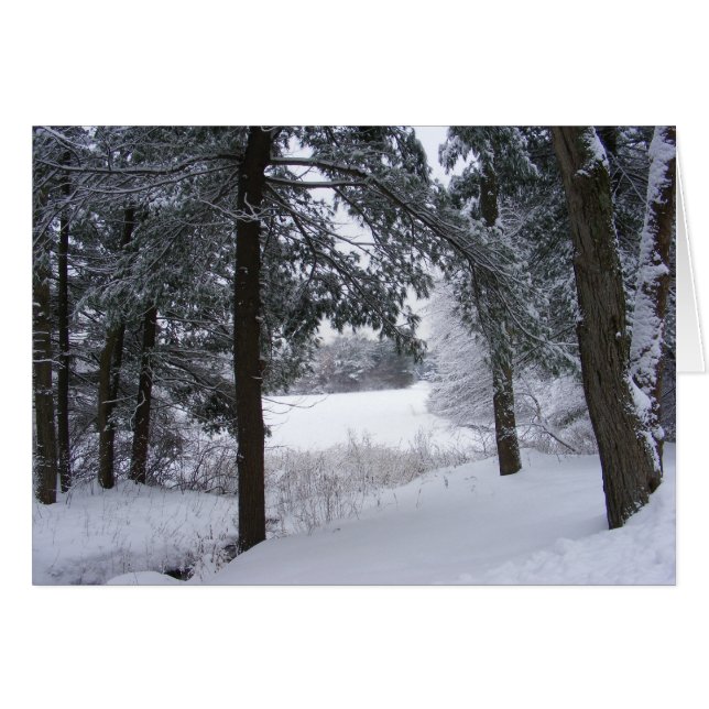 Tarjeta Sticky Snow 132 ~ (Anverso (Horizontal))