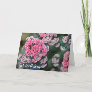 Tarjeta Stonecup de mariposa rosa y blanca se recuperará p