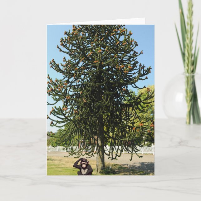 Tarjeta Strange enough to puzzle a monkey. (Anverso)