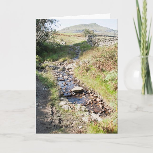 Tarjeta Stream Coniston Cumbrai England (Anverso)