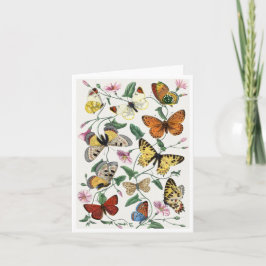 Tarjeta Study of diurnal butterflies by Paul Gervais Brief