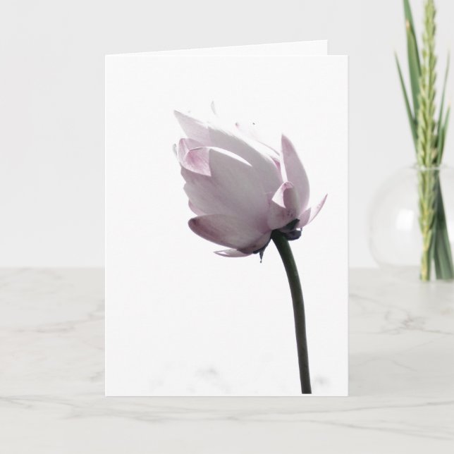 Tarjeta Suave (Anverso)