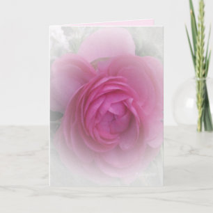 Tarjeta Suavemente rosa