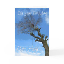 Sube alto, ve a trepar a un árbol arborista