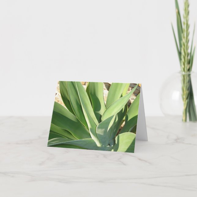 Tarjeta Subiendo el sol v2 (Anverso)