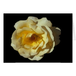 Tarjeta subió mac del whisky