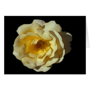 Tarjeta subió mac del whisky