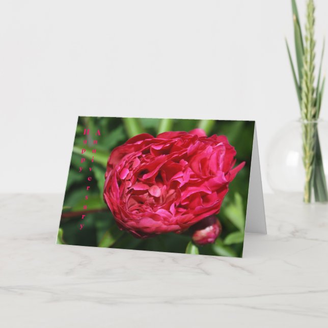 Tarjeta subió Peony rosado del aniversario (Anverso)