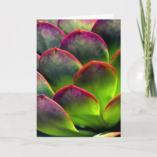 Tarjeta Succulent del desierto en Sun brillante y sombra (Anverso)