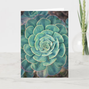Tarjeta Succulent del primer