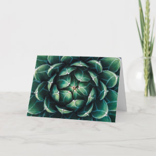 Tarjeta Succulent verde y blanco