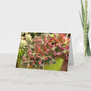 Tarjeta sucesiva de la Pagoda Roja de Debra Lee Ba