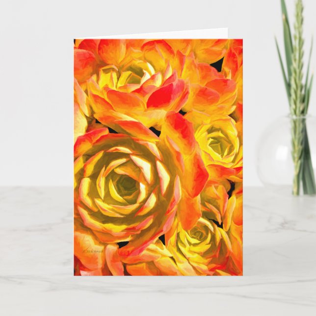 Tarjeta Suculenta planta de Echeveria (Anverso)