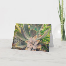 Tarjeta Suculentas, Día de la Madre