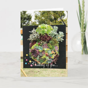 Tarjeta Suculentos decorativos