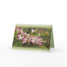 Sucursal PkDgwood - personalizar en cualquier ocas