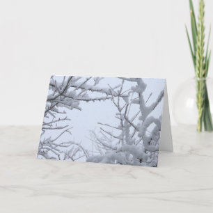 Tarjeta Sucursales congeladas de invierno enmarcando el ci