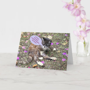 Tarjeta "Sueño agudo gatito/El día de San Valentín