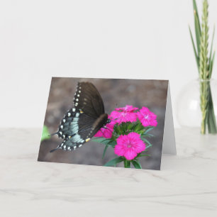 Tarjeta Sueño de mariposa