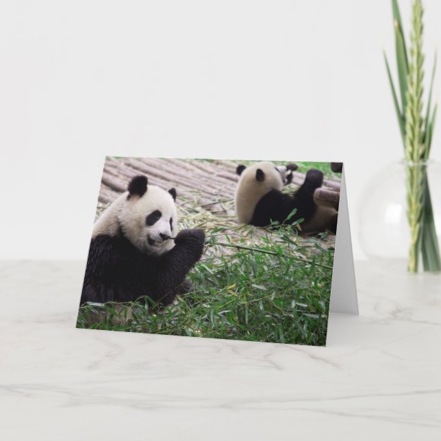 Tarjeta Sueño panda (Anverso)